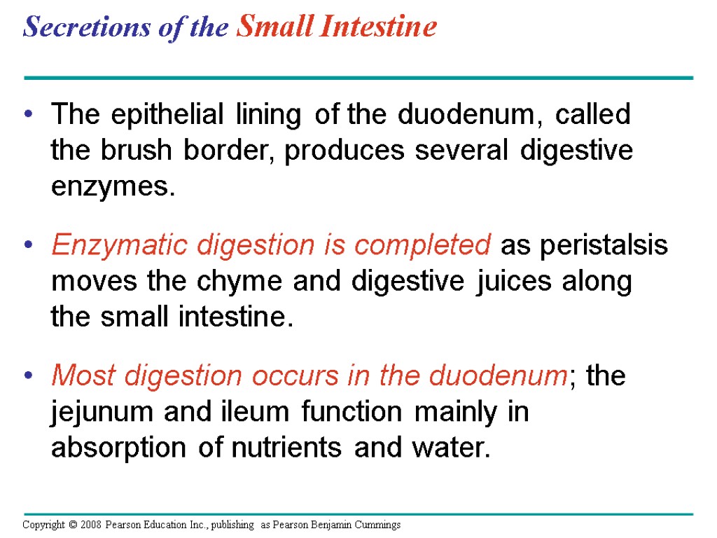Secretions of the Small Intestine The epithelial lining of the duodenum, called the brush